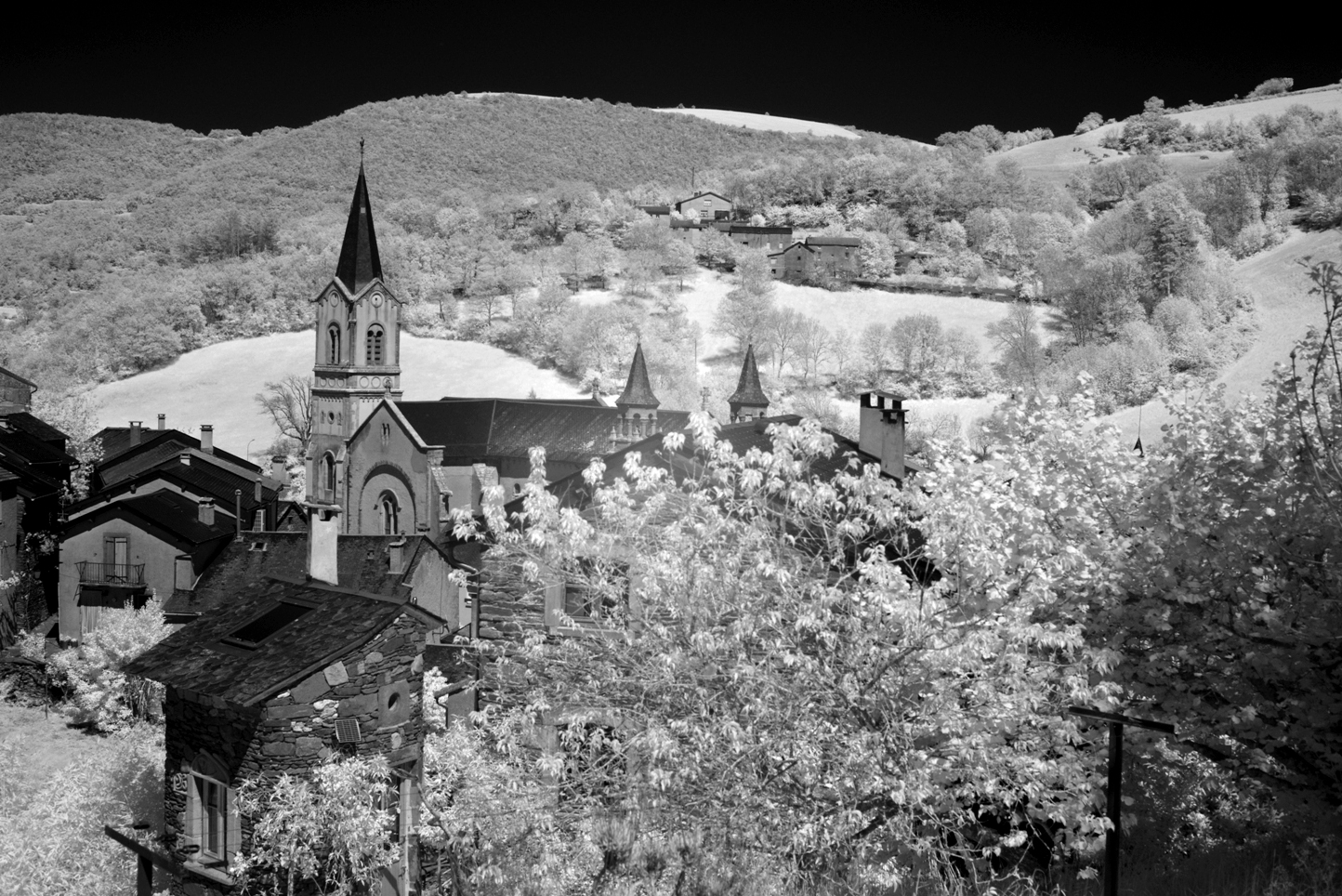 DSC_0082.JPG