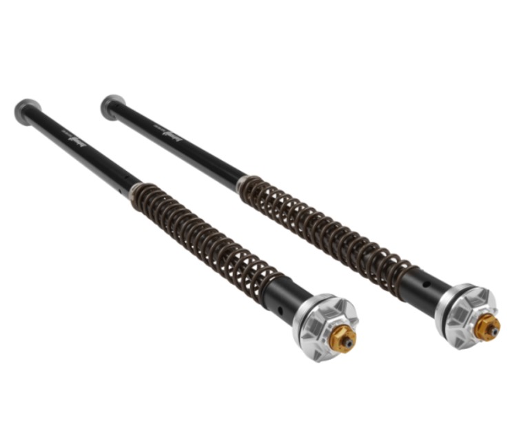 Andreani Misano Cartridges.jpg