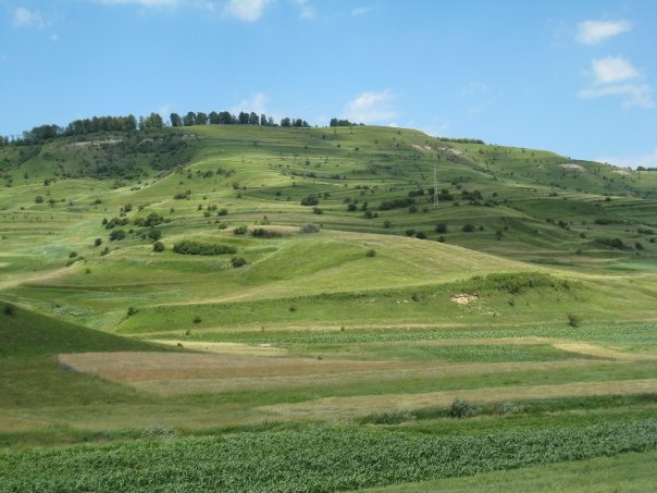 R8.jpg