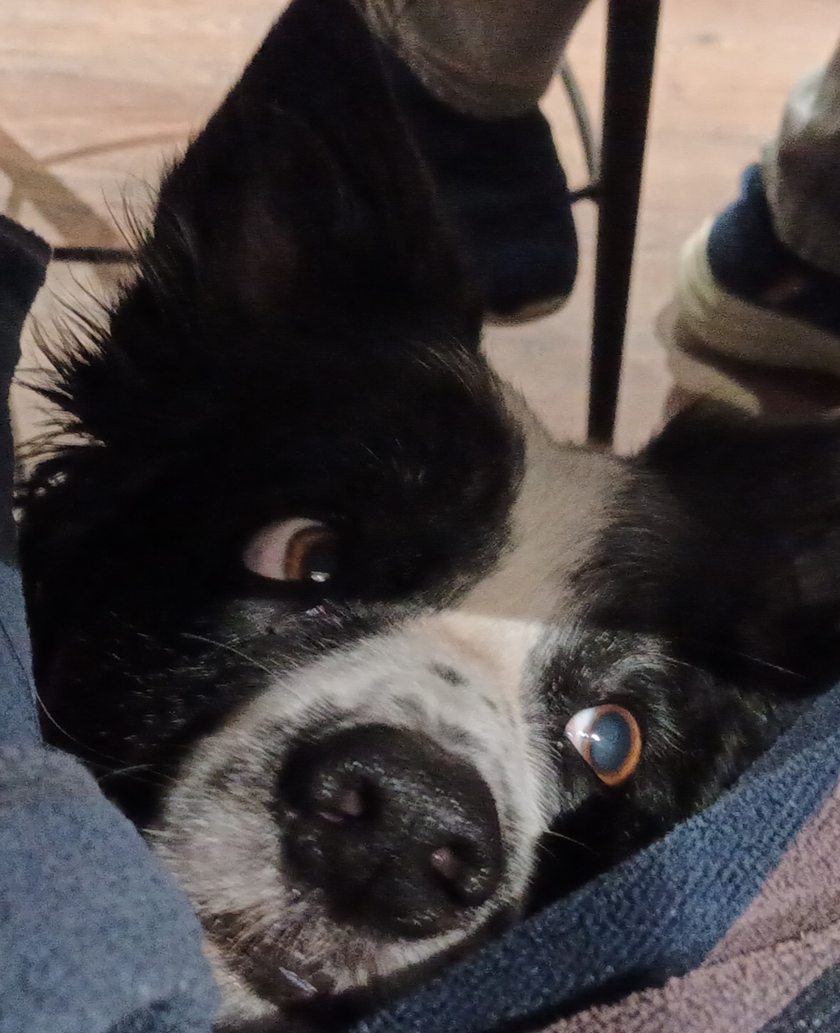 20260224_192626.jpg
