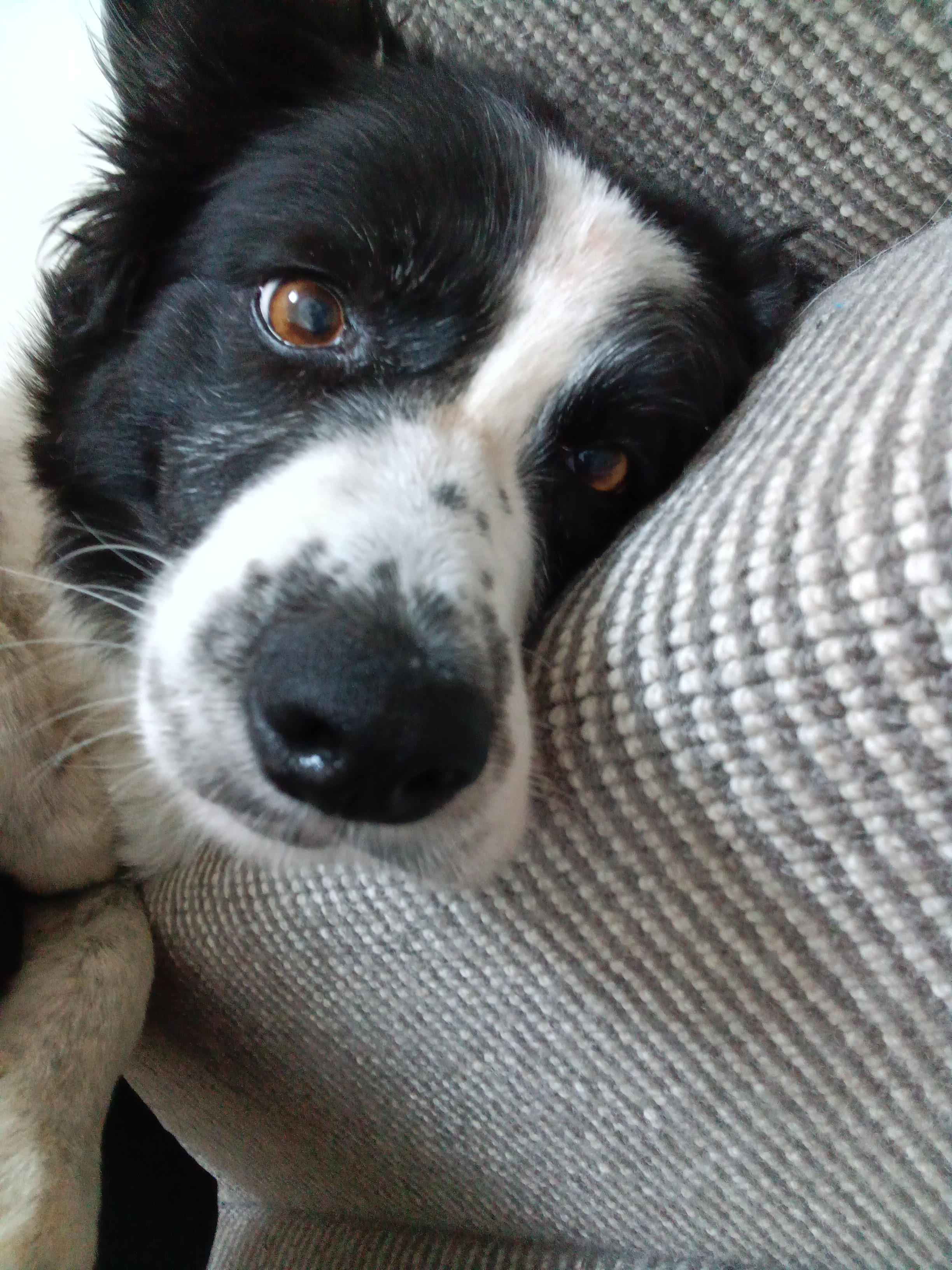 IMG-20260426-WA0019.jpeg