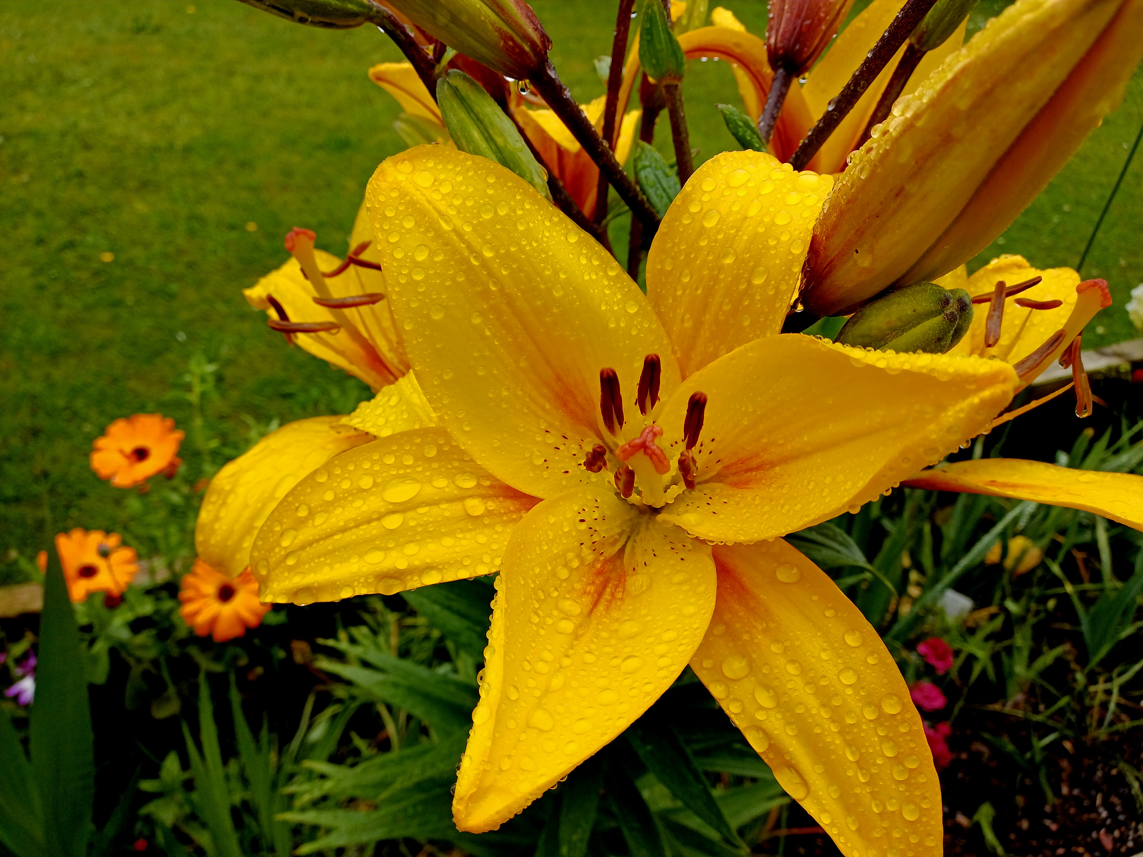 20260619_170442.jpg