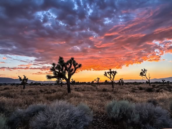 AV sunset.jpg