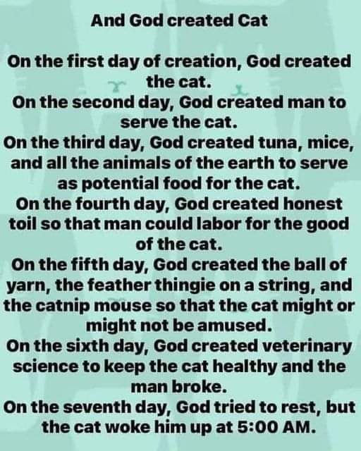 FB_IMG_1699173106236.jpg